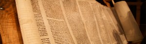 Torah_Feature
